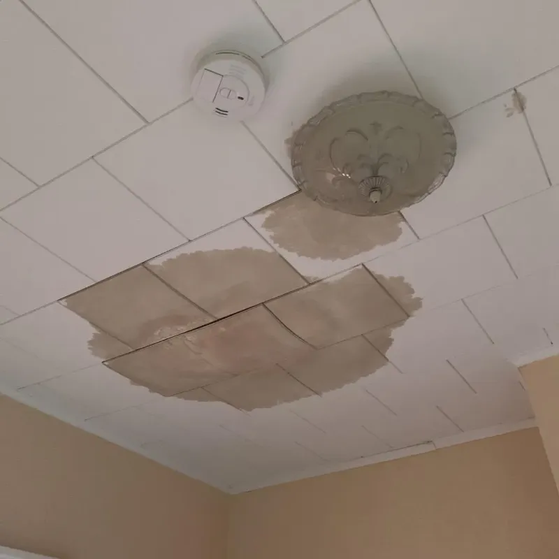 Ceiling Water Damage Repair in New Iberia, LA